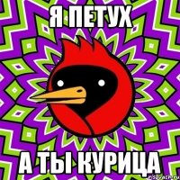 я петух а ты курица