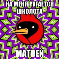 на меня ругается школота матвей