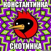 константинка скотинка