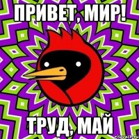 привет, мир! труд, май