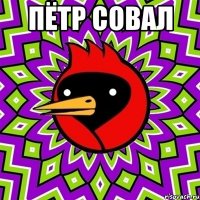 пётр совал 