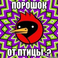 порошок от птицы :?