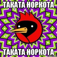 таката норкота таката норкота