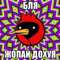 бля жопай дохуя