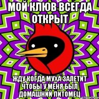 мой клюв всегда открыт жду когда муха залетит чтобы у меня был домашний питомец