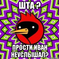 шта ? прости иван неуслышал?