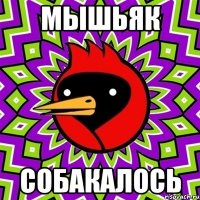 мышьяк собакалось