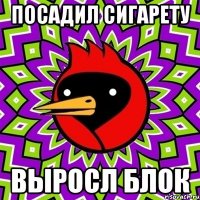 посадил сигарету выросл блок