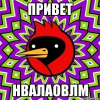 привет нвалаовлм