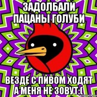 задолбали пацаны голуби везде с пивом ходят а меня не зовут:(