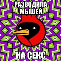 разводила мышей на секс
