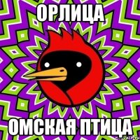орлица омская птица