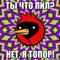 ты что пил? нет, я топор!