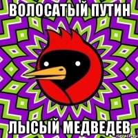 волосатый путин лысый медведев