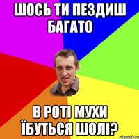 шось ти пездиш багато в роті мухи їбуться шолі?