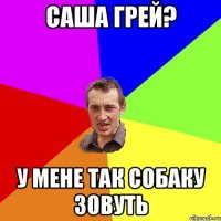 саша грей? у мене так собаку зовуть