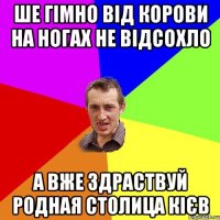 ше гімно від корови на ногах не відсохло а вже здраствуй родная столица кієв