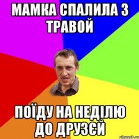 мамка спалила з травой поїду на неділю до друзєй