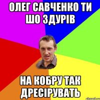 олег савченко ти шо здурів на кобру так дресірувать