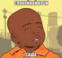 спокойной ночи саша