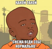 какой такой "снєжа веди себе нормально"