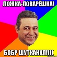 ложка-поварёшка! бобр шутканул!(((