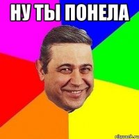 ну ты понела 