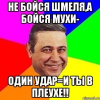 не бойся шмеля,а бойся мухи- один удар=и ты в плеухе!!