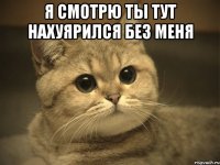 я смотрю ты тут нахуярился без меня 