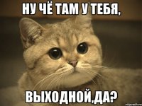 ну чё там у тебя, выходной,да?