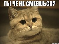 ты чё не смеешься? 