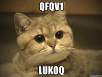 qfqv1 lukoq