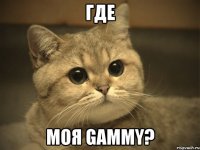 где моя gammy?