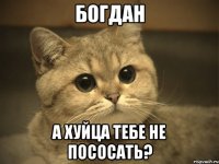 богдан а хуйца тебе не пососать?