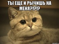 ты еще и рычишь на меня?!?!? 