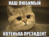 наш любимый котенька президент