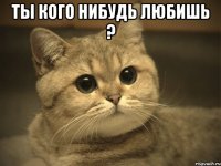 ты кого нибудь любишь ? 