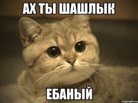 ах ты шашлык ебаный