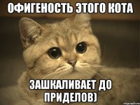 офигеность этого кота зашкаливает до приделов)