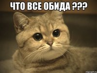 что все обида ??? 