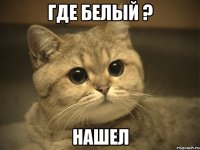 где белый ? нашел