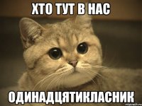 хто тут в нас одинадцятикласник