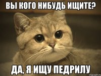 вы кого нибудь ищите? да, я ищу педрилу