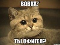 вовка:* ты офигел?