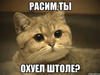 расим,ты охуел штоле?