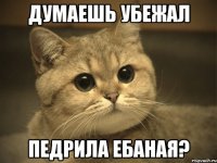 думаешь убежал педрила ебаная?