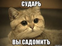 сударь вы садомитъ