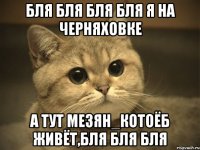 бля бля бля бля я на черняховке а тут мезян_котоёб живёт,бля бля бля