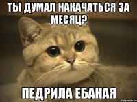 ты думал накачаться за месяц? педрила ебаная