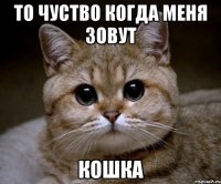 то чуство когда меня зовут кошка